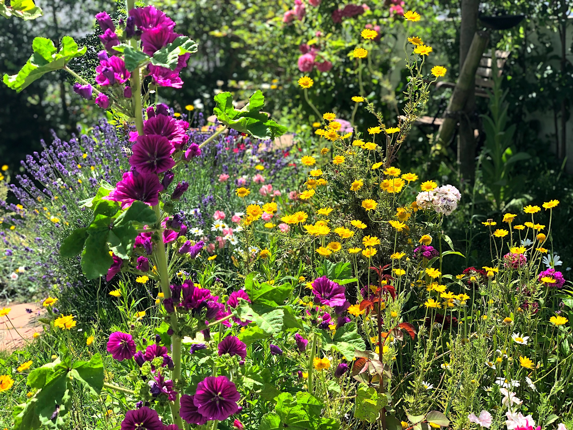 Rosis Garten * Geschichtenseiten